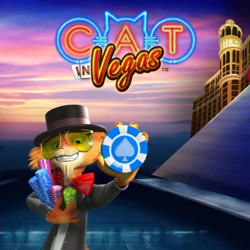 Cat in Vegas