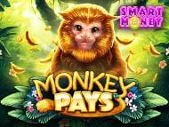 Monkey Pays